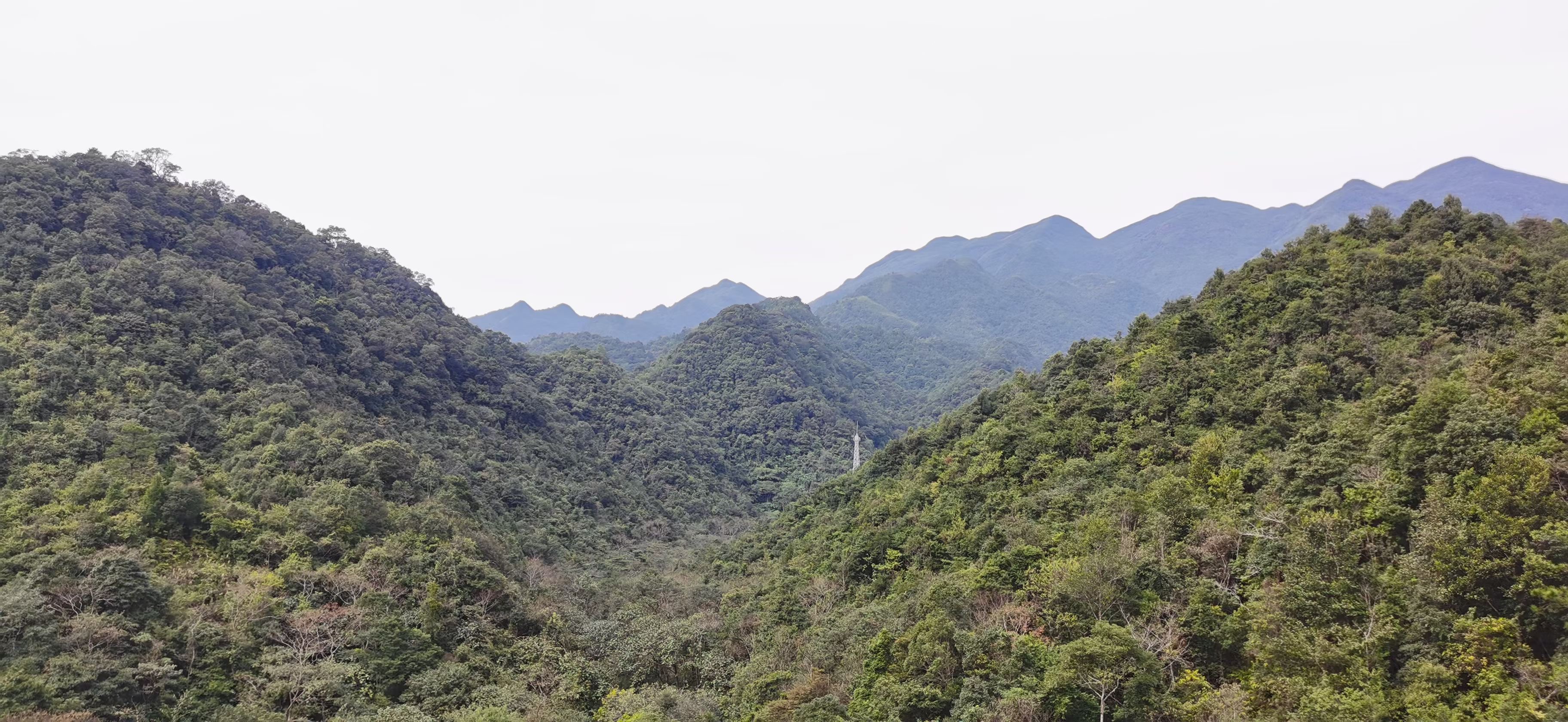 十万大山群落外观4